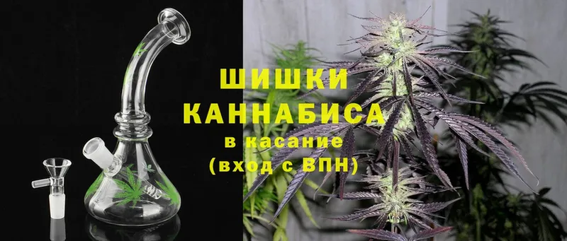 Конопля SATIVA & INDICA  где можно купить   Нижнеудинск 